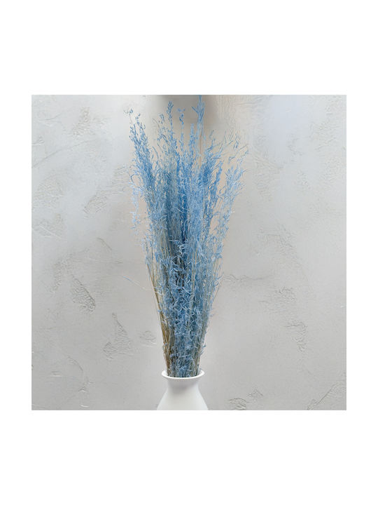 Dried Trembling Grass Briza Segromigno Blue