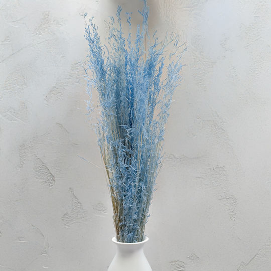 Dried Trembling Grass Briza Segromigno Blue