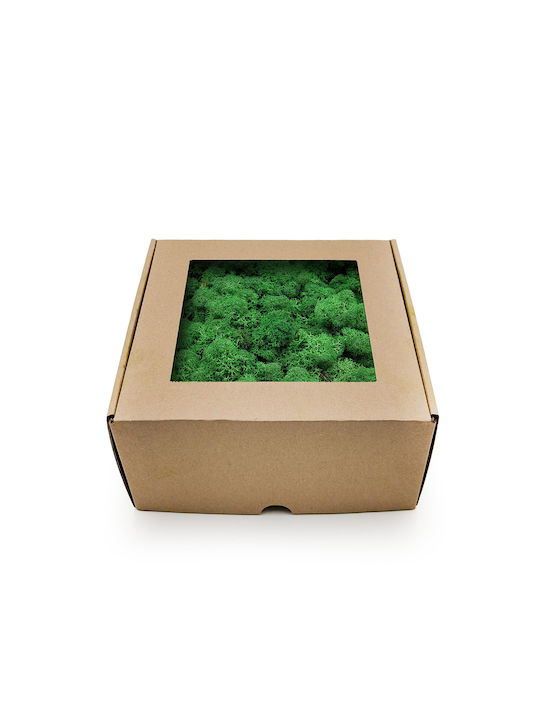 Reindeer Moss Lichen Norway Shade Grass 500g Netto