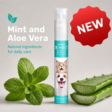 Artero X-mint Oral Spray 14ml