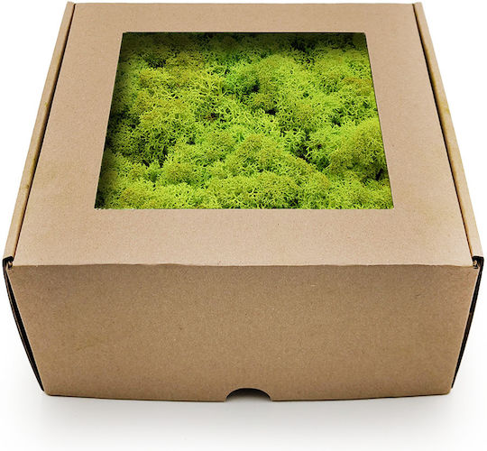 Reindeer Moss Norway Spring Green 500g Net Weight