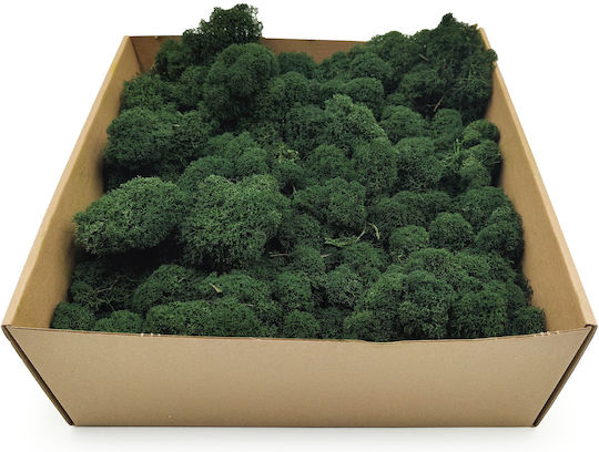Reindeer Moss Finnish Cleaned Dark Green 50g Net