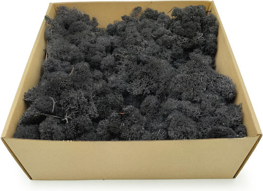 Reindeer Moss Finnish Cleaned Black 250g Net