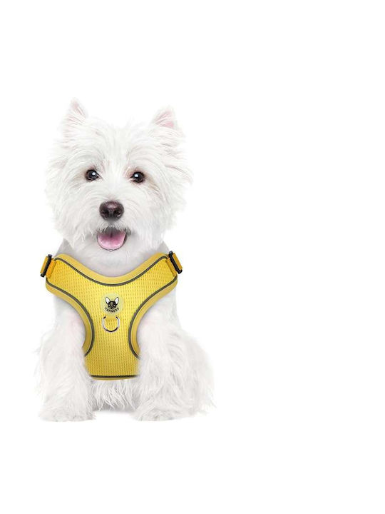 Hundegeschirr Leine Reflektierend Verstellbar Weiches Gelb