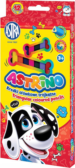 Pencil Crayons 12 Intense Colors Drawing Coloring 1 Pc