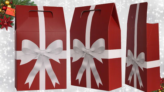 Mona Paper Christmas Gift Bag 22x7x15cm 4 Pieces
