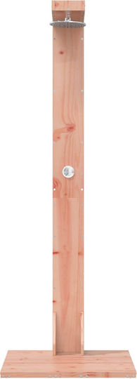 vidaXL Pool Shower 76x210 cm Brown