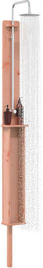 vidaXL Pool Shower 19x246 cm Brown