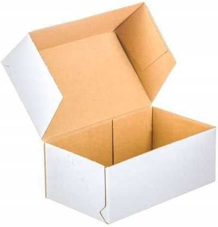 Verpackungskartons Weiß P25 x B20 x H8cm 20Stück