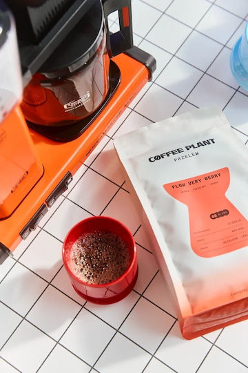 Coffee Plant Filter Kaffee Arabica Äthiopien Flow Very Berry in Körner 100g