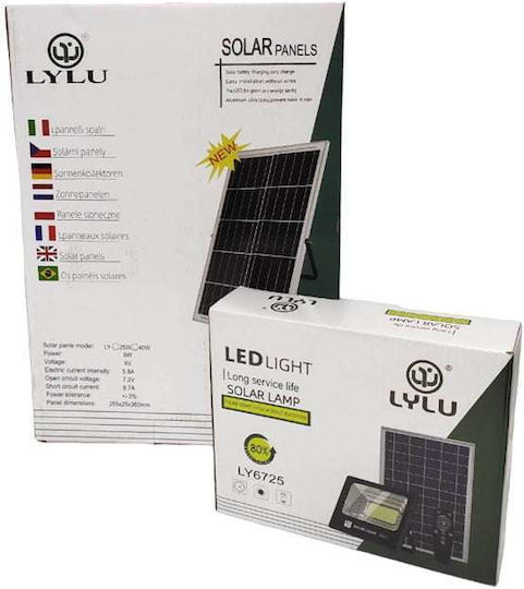 Jortan Στεγανός Ηλιακός Προβολέας LED 60W Ψυχρό Λευκό 6500K με Τηλεχειριστήριο IP67