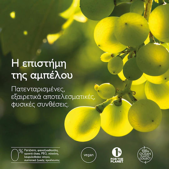 Caudalie Vinopure Salicylic Spot Solution Κρέμα Προσώπου Ημέρας κατά των Ατελειών & της Ερυθρότητας 15ml