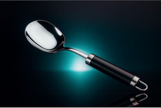 SteweHome Stainless Steel Sauce Spoon