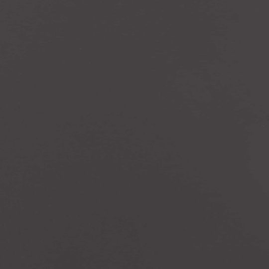vidaXL Gardă Vie De Grădină Metalică Neagră 30cm x 1.03m 10 Bucăți