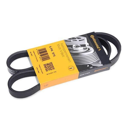 Contitech 5 Pk 975 Multi-rib Belt