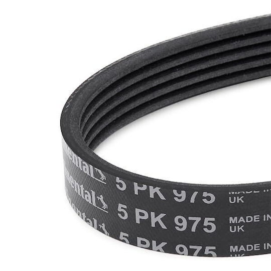 Contitech 5 Pk 975 Multi-rib Belt
