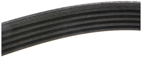 Contitech 5 Pk 1750 Multi-rib Belt