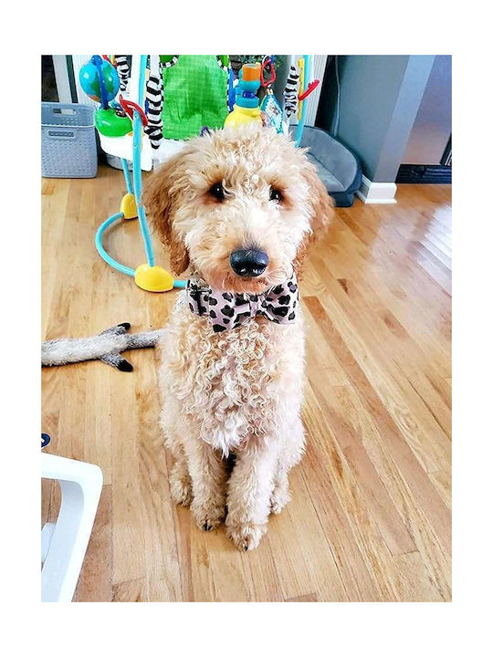 Adjustable Dog Collar Bow Leopard Pattern Size Xl