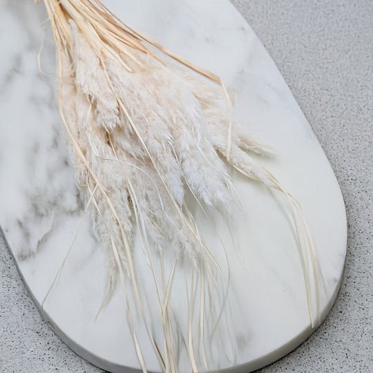 Mini Pampas Grass Bleached 10 Pcs Mini Pampas Grass Bleached 10 Pcs