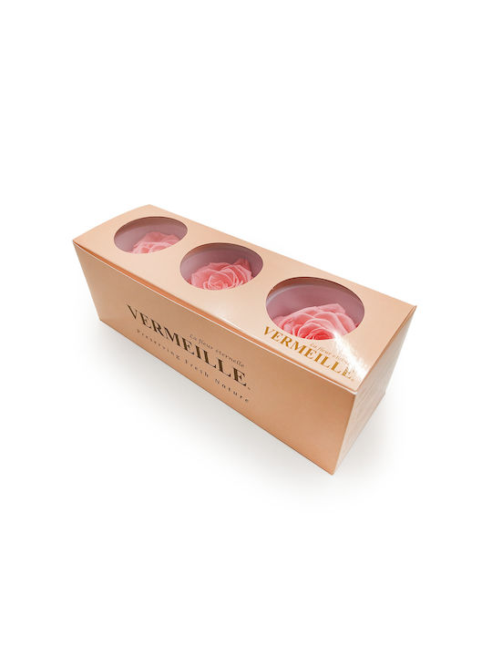 Stabilized Rose Pink Nectar Xl 3pcs
