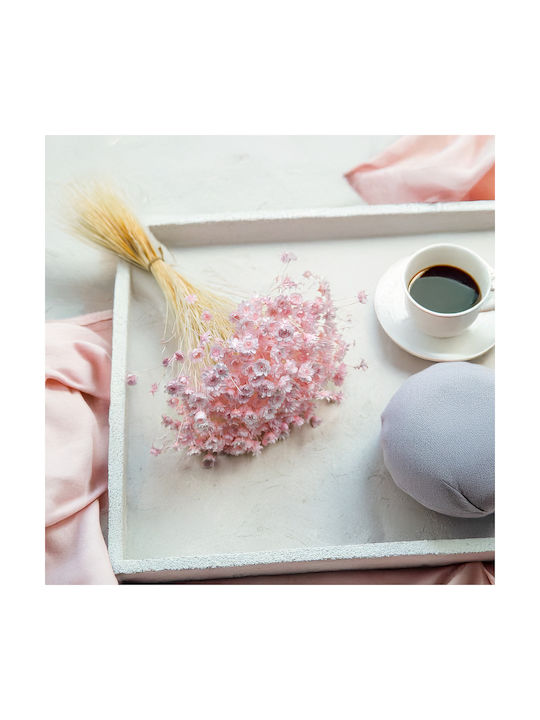 Glixia Dried Gliksja Comanthera Light Pink