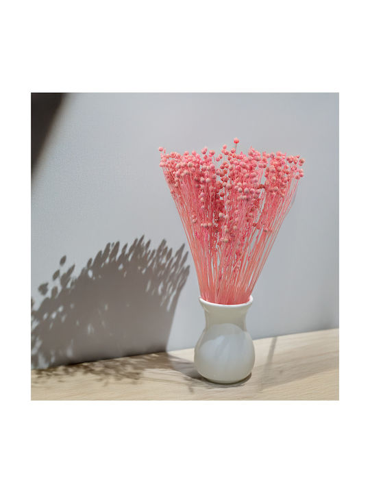 Dried Len Light Pink