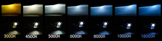 D3s Xenon Birne Xenon Autolampe 5000K Plus 100%