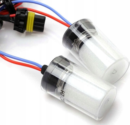 H7 35w 4300k Xenon Bulb