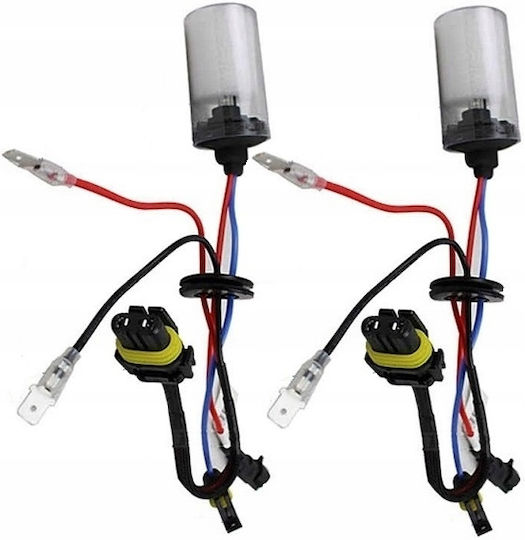 H7 35w 4300k Xenon Bulb