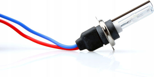 H7 35w 4300k Xenon Bulb