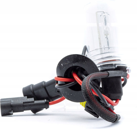 Hb3 Xenon Birne 6000k Brenner Birne 9005 35w 12v