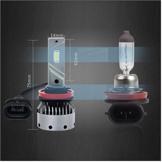 H11 LED Autolampen 12/24V 12000lm Starke Canbus 6000K Hq Automotive