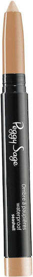 Wasserfester Lidschatten Stick mit Nude Farbe 1.4gr