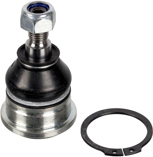 Febi Lower Front Right and Left Axle Pivot Load Guide Joint 16mm Cone Diameter Spring Adjustment Ring Volvo S40 V40 Hyundai I20 Active I20 I Ii Mitsubishi Carisma