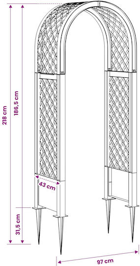 Vidaxl Αψίδα Ρόδων Ακίδες Γκρι 97 X 43 X 218 Εκ Pp