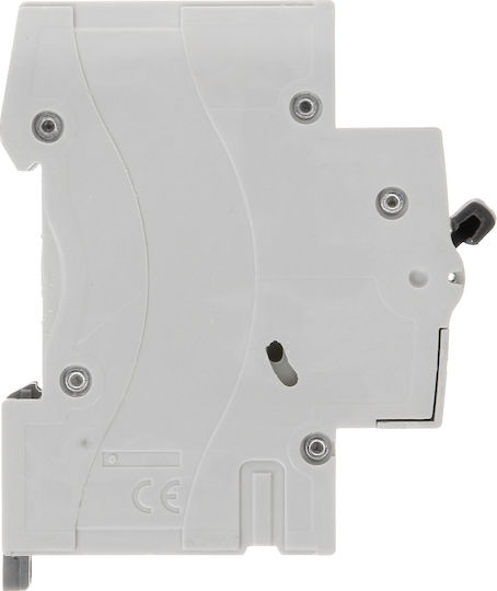 Overcurrent Circuit Breaker Rx3 1p C 10a 6000a