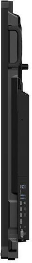 Philips Eline Διαδραστικός Πίνακας Αφής 65" Android