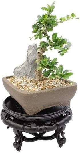 Pot Base Vase Stand Βάση Γλάστρας Καφέ