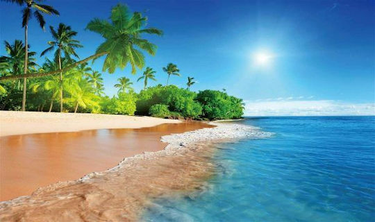 Dimcol Rutschfest Badematte Synthetisch,Polyester/Cotton/Leather Rechteckig Hawaii 257