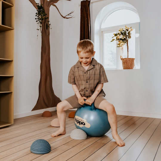 Find that Hippo Hoppers Ball for 6+ Years