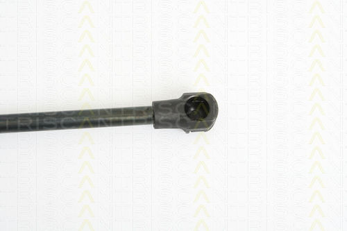 Triscan 8710 38220 Kofferraum-Schockabsorber