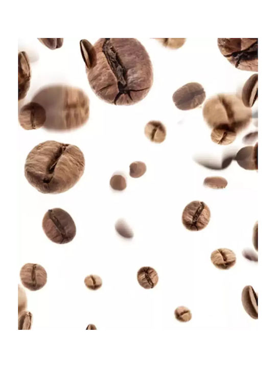 Anartisi Roller Blinds E105 Partial Blackout Brown W160xH120cm