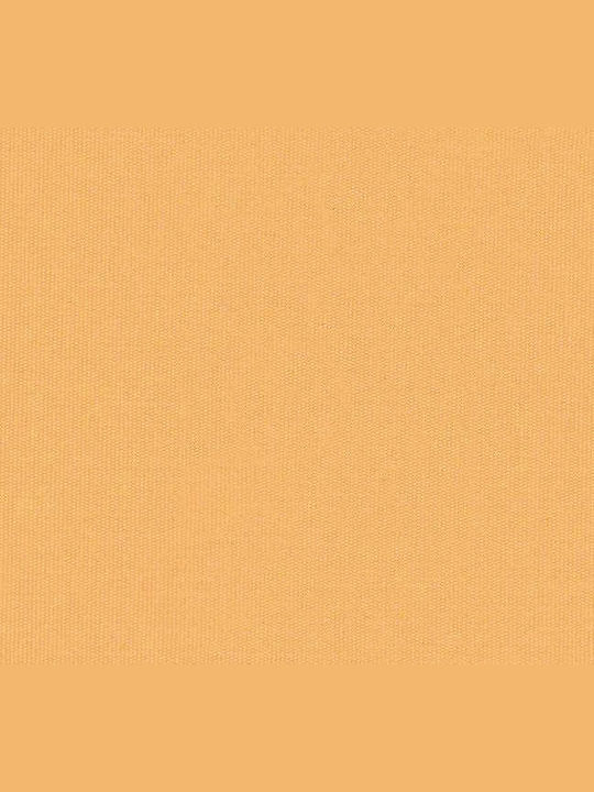 vidaXL Τέντα Βεράντας με Led Μπεζ 2.5x2m