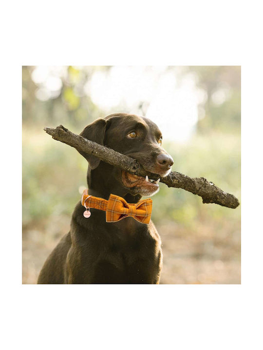 Adjustable Dog Collar Bow Tie In Checkered Pattern Size L