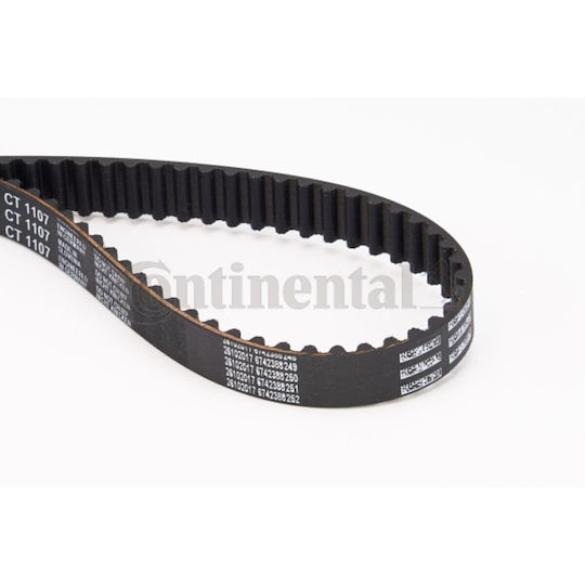 Contitech Ct 1107 Ausgleichswellen Gürtel