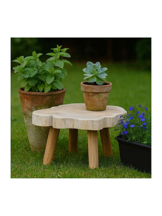 Nextdeco Teak Wood Side Table H25xW48xD45cm