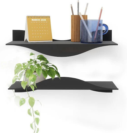 Wall Shelves (2 Pieces) 43.1x17.7x9.9 cm