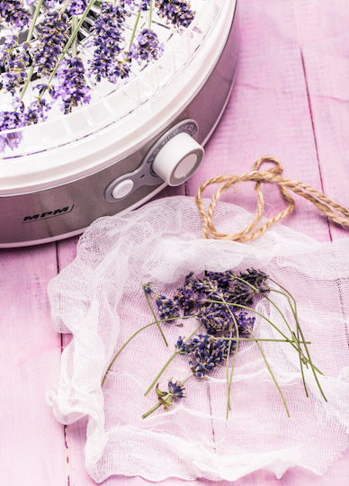 MPM MSG-11 Lebensmittel-Dehydrator mit 5 Regalen
