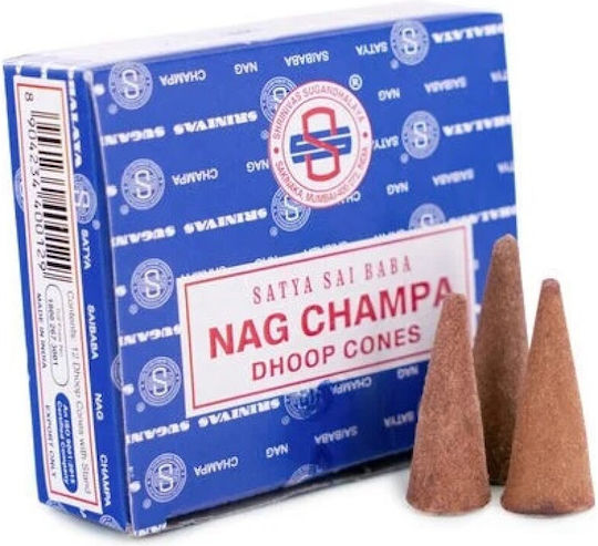 Satya Basis Für Räucherstäbchen Mit Nag Champa Parfüm 1378 12 Stück