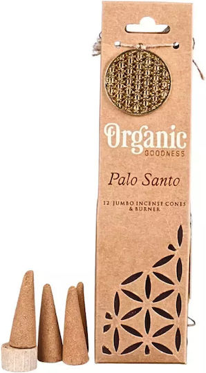 Incense Cones XL Organic Goodness Sage Ceramic Burning Base